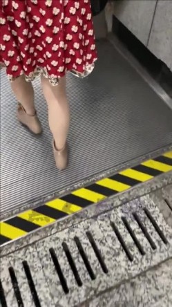 预览图1