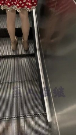 预览图4
