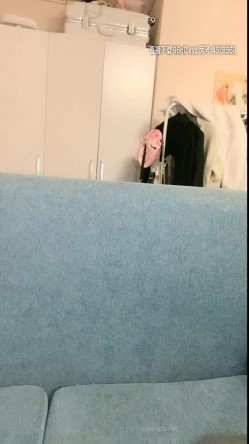 预览图1