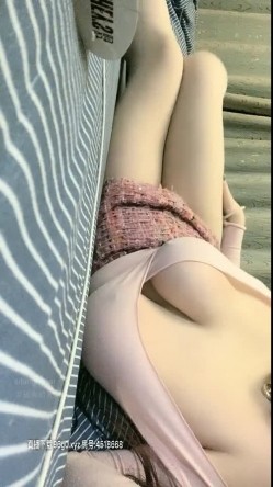 预览图13
