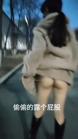 预览图11