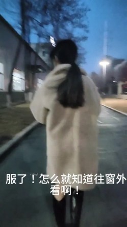 预览图13