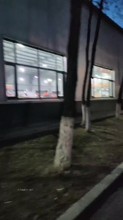预览图14