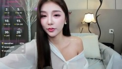 预览图13