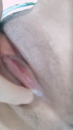 预览图4