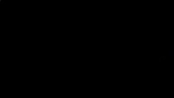 预览图4