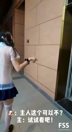预览图9