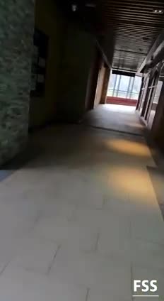 预览图10