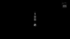 预览图4
