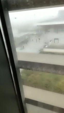 预览图13