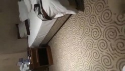 预览图5