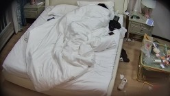 预览图12