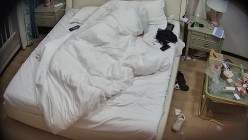 预览图14
