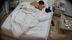 预览图16