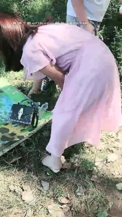 预览图1