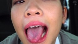 预览图5