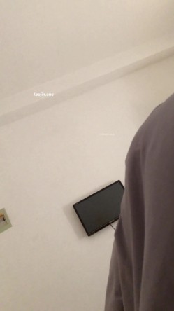 预览图8