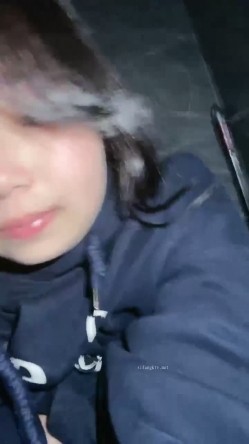 预览图4