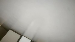 预览图6