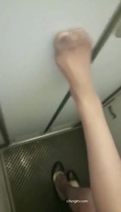 预览图8