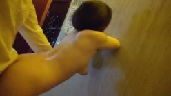 预览图8