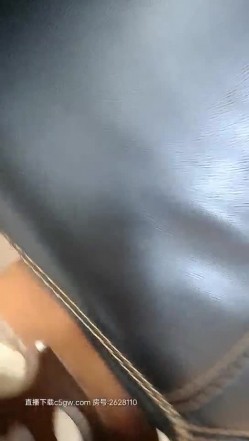 预览图12