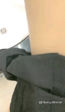 预览图1