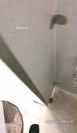 预览图2