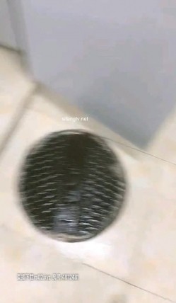 预览图4