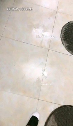 预览图7