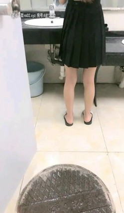 预览图8