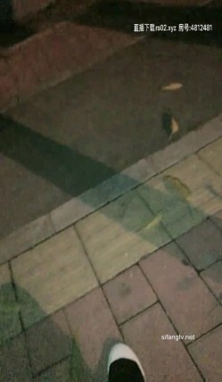 预览图11