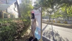 预览图8