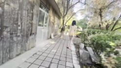 预览图9