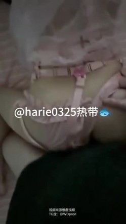 预览图9