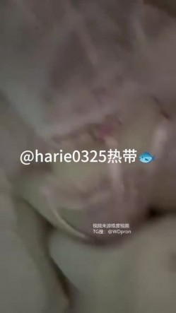 预览图11
