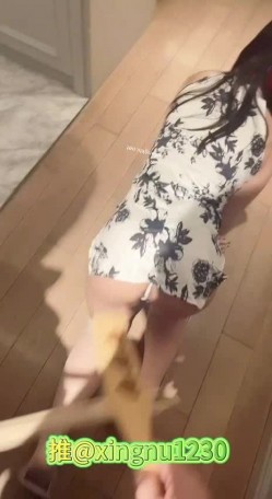 预览图8