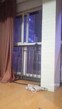 预览图4