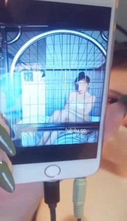 预览图15