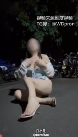 预览图3