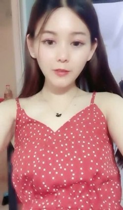 预览图4