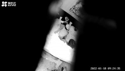预览图4