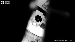 预览图7