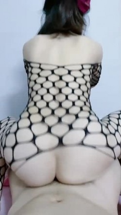 预览图4