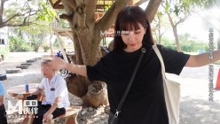 预览图5