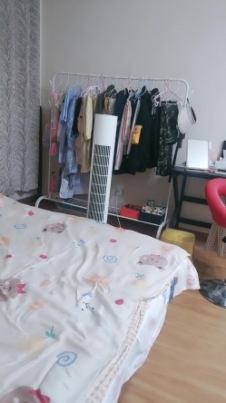 预览图6