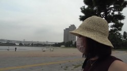 预览图1
