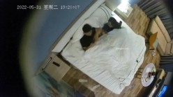 预览图3