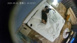 预览图5