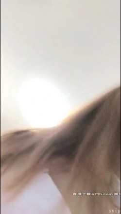 预览图15